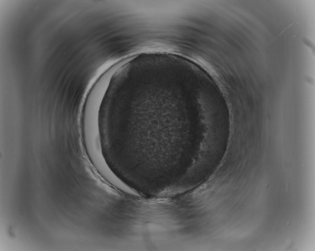 X0000098160864200804241802