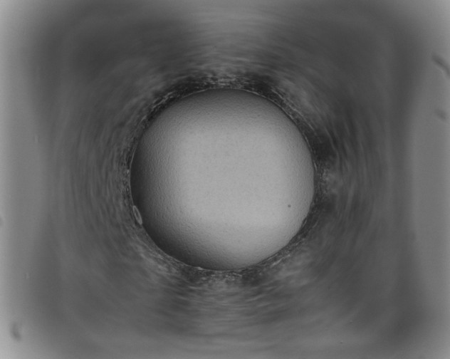 X0000098160865200804241801
