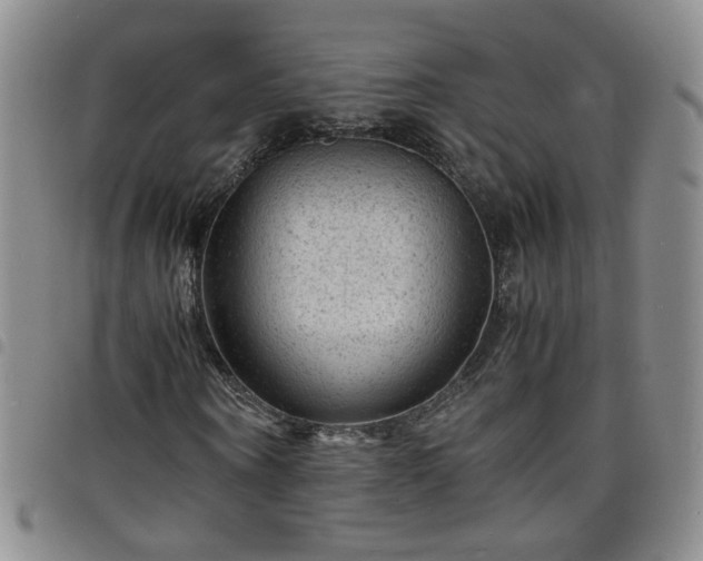 X0000098160866200804241801