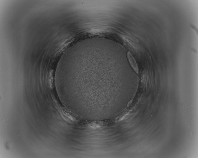 X0000098160868200804241801