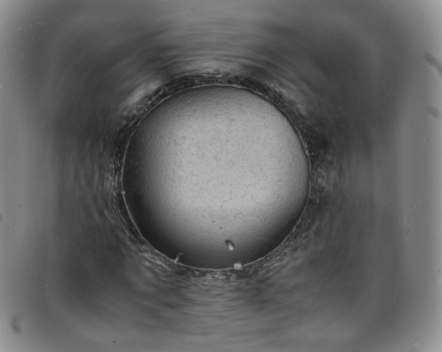 X0000098160869200804241801