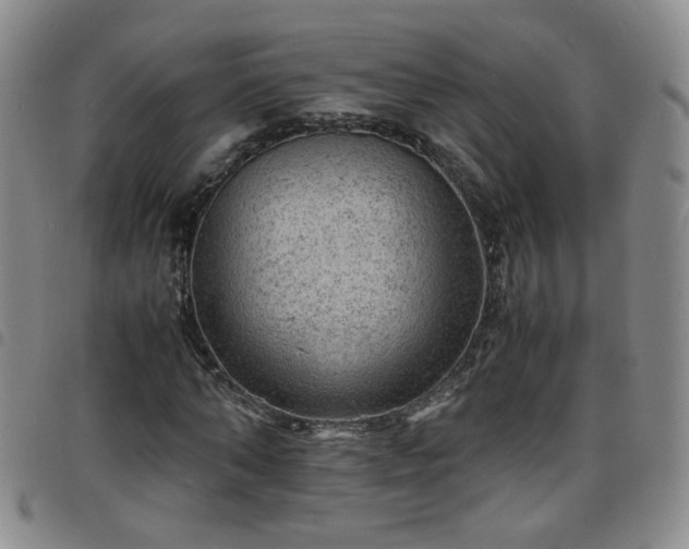 X0000098160870200804241801