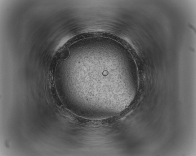 X0000098160871200804241801