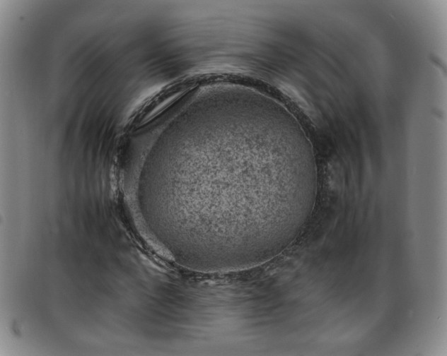 X0000098160872200804241801