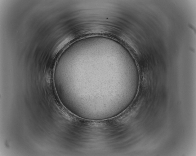 X0000098160874200804241801