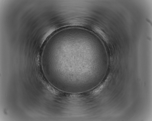 X0000098160875200804241801