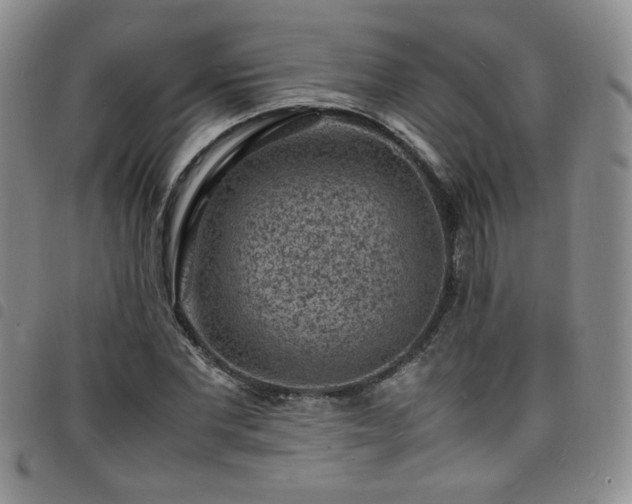 X0000098160877200804241801