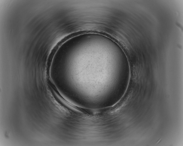 X0000098160880200804241801