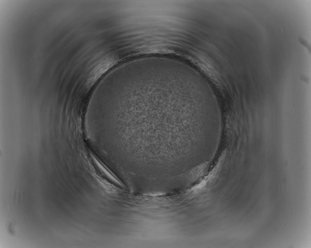 X0000098160881200804241801