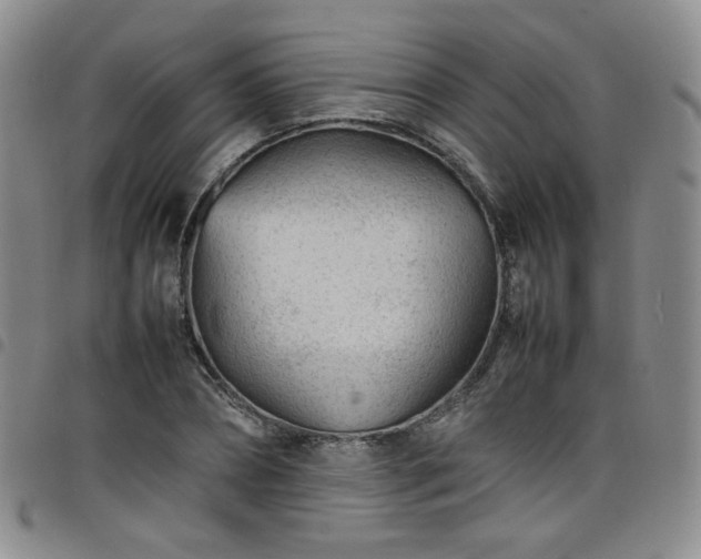 X0000098160882200804241801