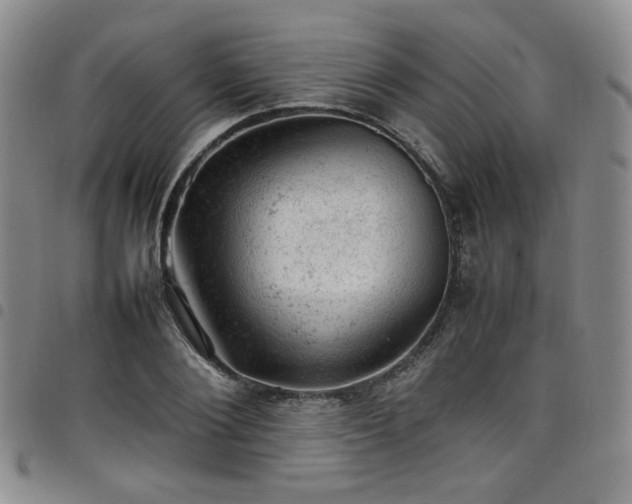 X0000098160884200804241801