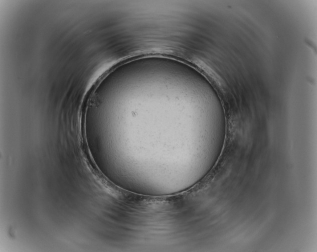 X0000098160886200804241801