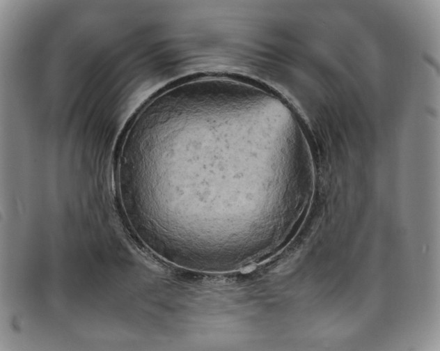 X0000098160887200804241801