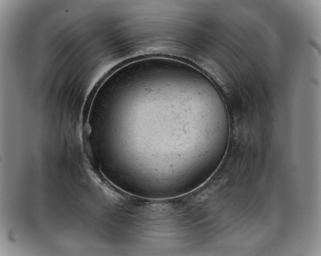 X0000098160888200804241801