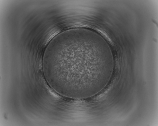 X0000098160889200804241801
