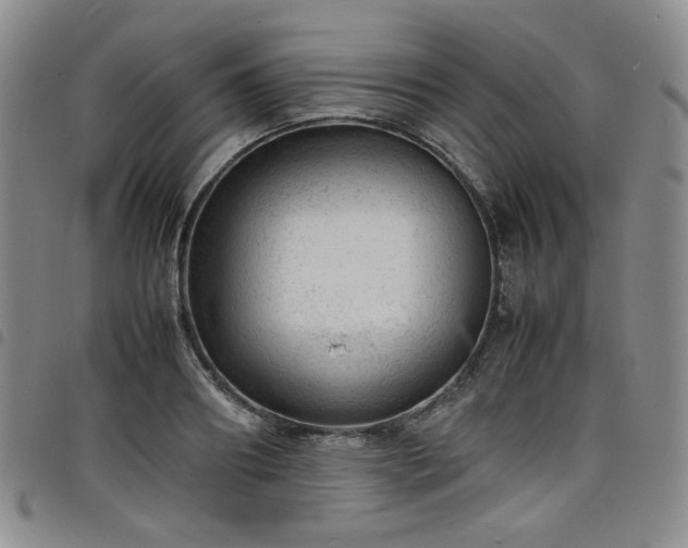 X0000098160890200804241801