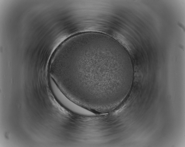 X0000098160892200804241801