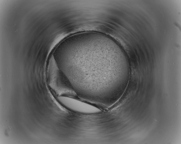 X0000098160894200804241801