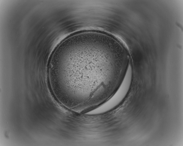 X0000098160895200804241801