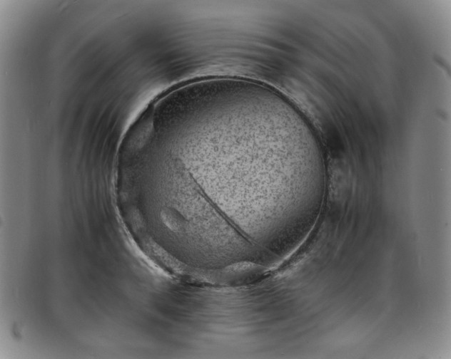 X0000098160896200804241801