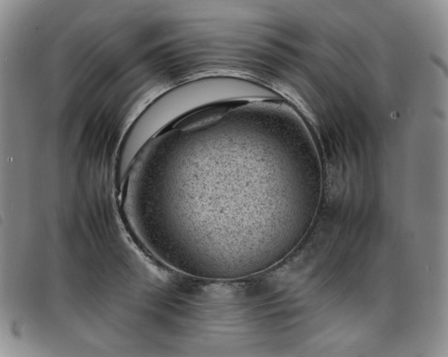X0000098160898200804241801