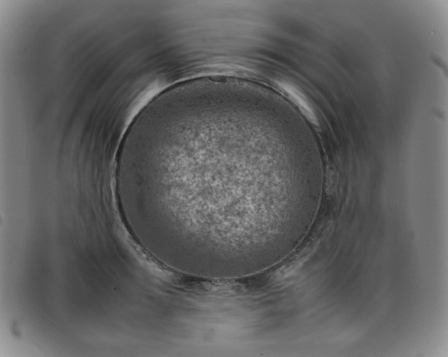 X0000098160899200804241801