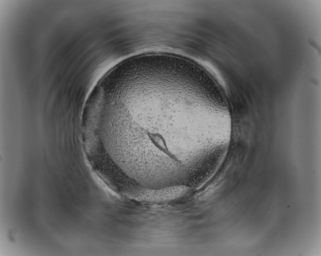 X0000098160903200804241801