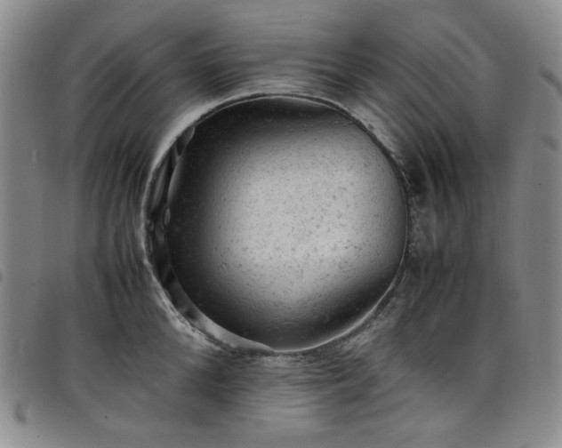X0000098160904200804241801