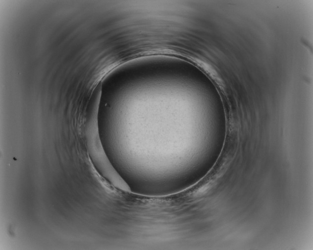X0000098160905200804241801