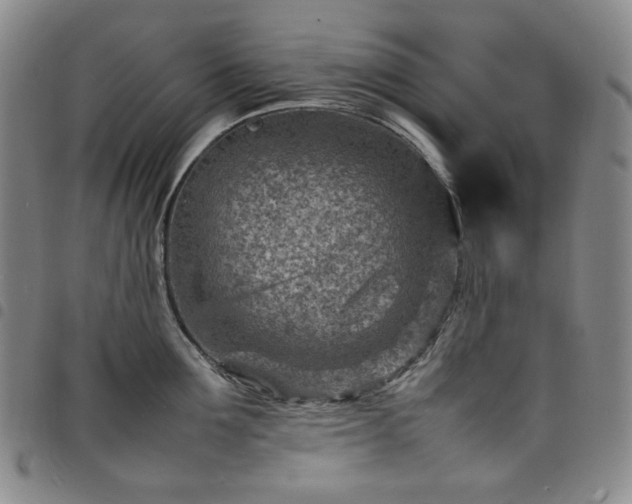X0000098160907200804241801