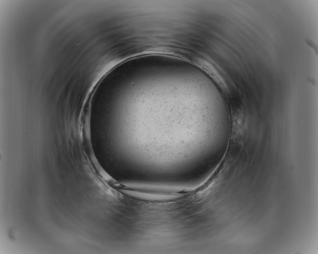 X0000098160908200804241801
