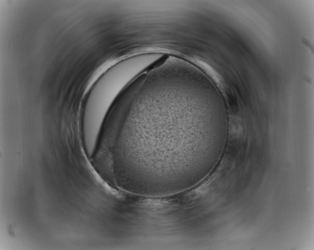 X0000098160910200804241801