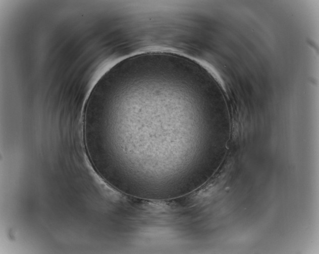 X0000098160911200804241801