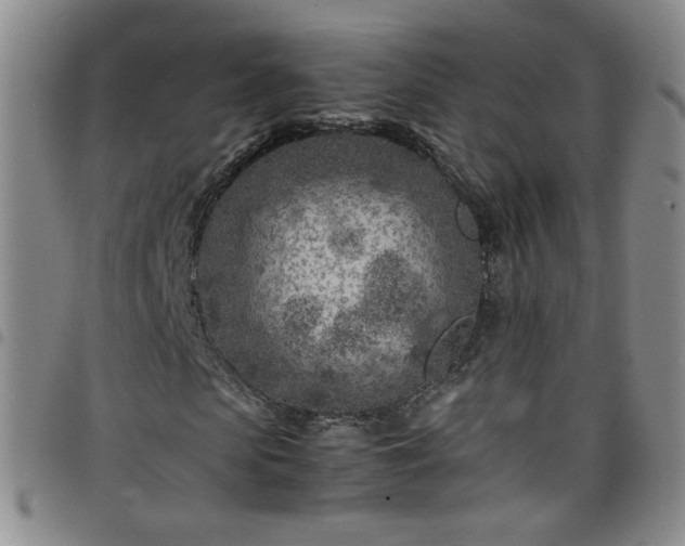 X0000098160913200804241800