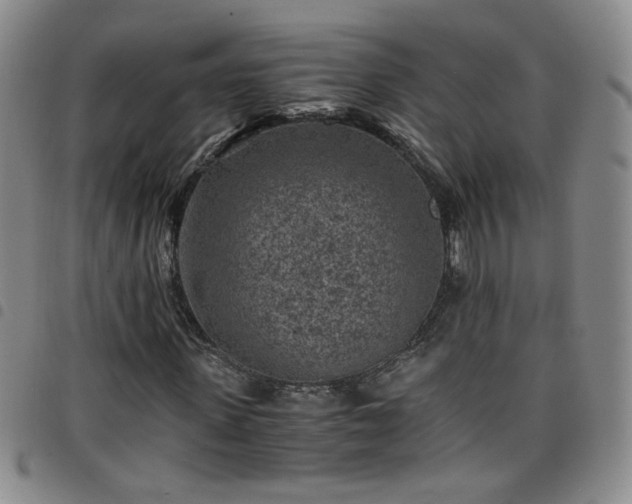 X0000098160915200804241800