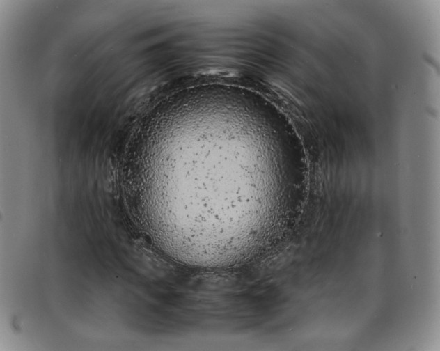 X0000098160917200804241800