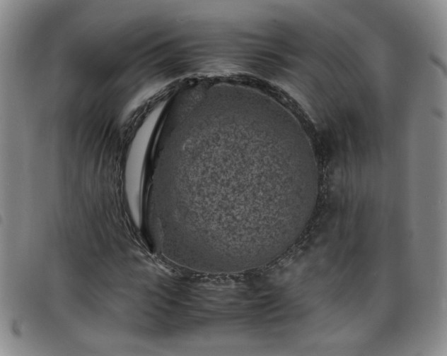 X0000098160919200804241800