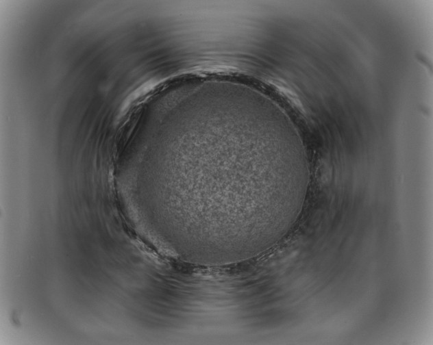 X0000098160920200804241800