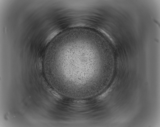 X0000098160921200804241800