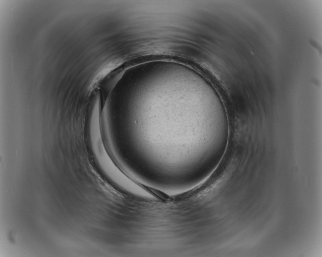 X0000098160922200804241800