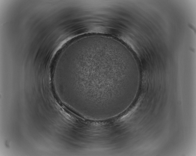 X0000098160923200804241800