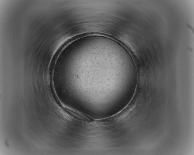 X0000098160924200804241800