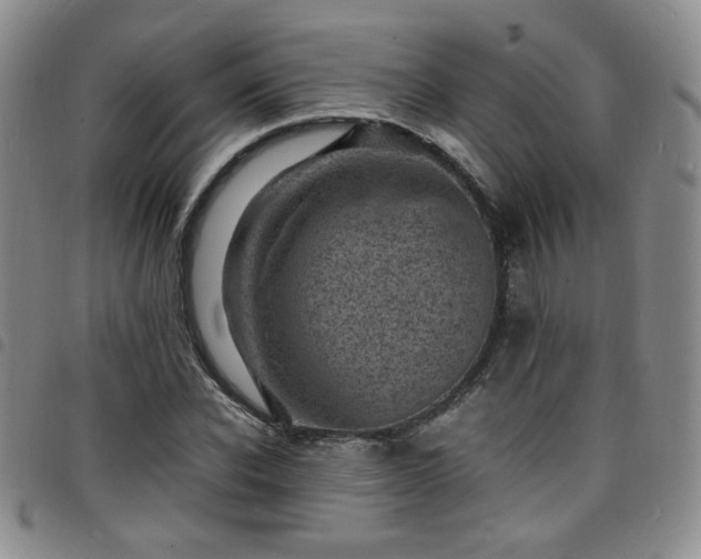 X0000098160926200804241800