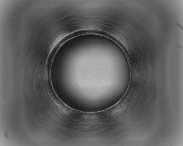 X0000098160927200804241800