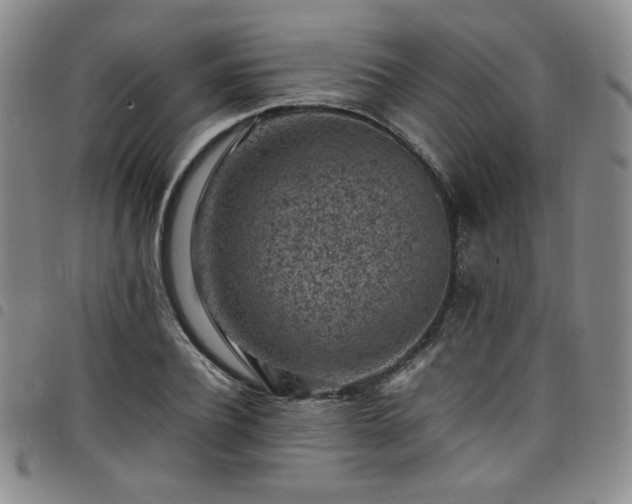 X0000098160932200804241800