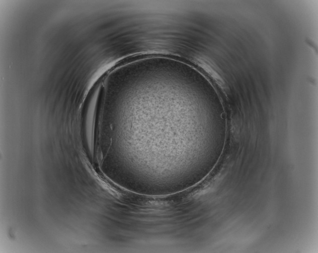 X0000098160933200804241800