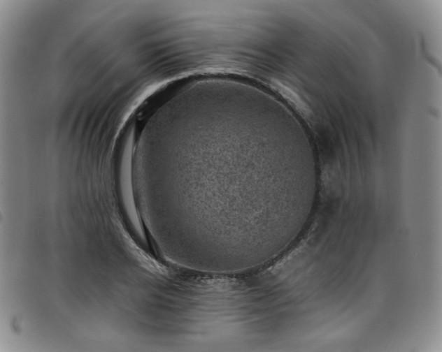 X0000098160934200804241800