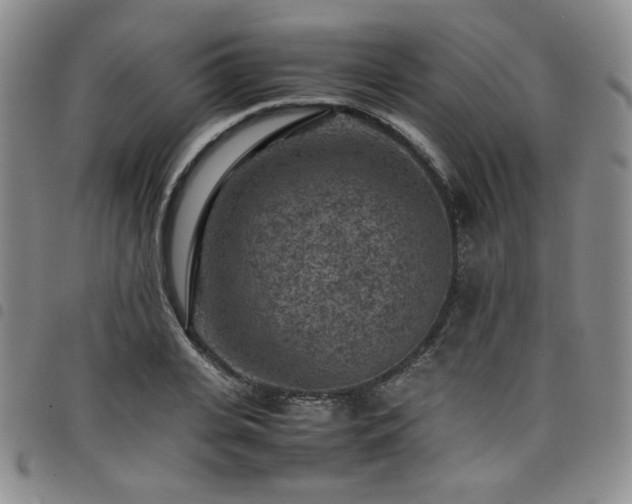 X0000098160935200804241800