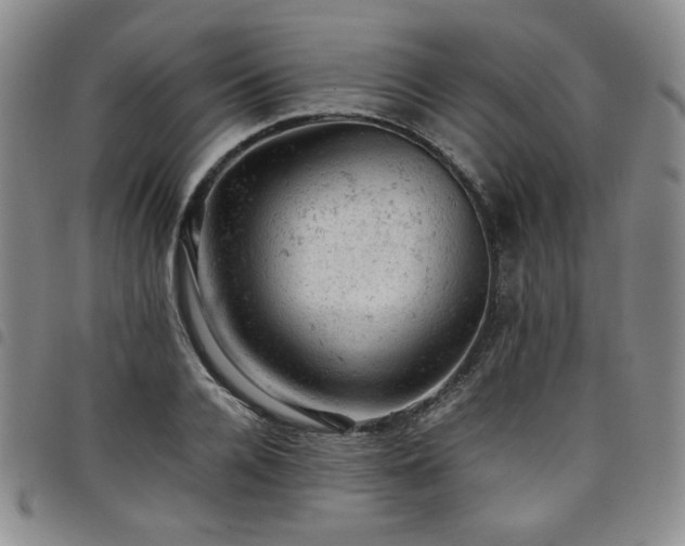 X0000098160936200804241800