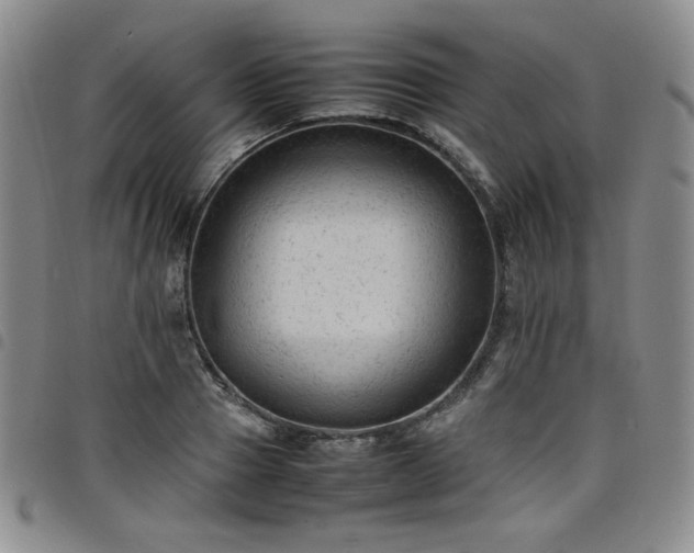 X0000098160937200804241800